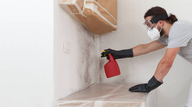 Professional Mold Remediation technician working in Westport, NC