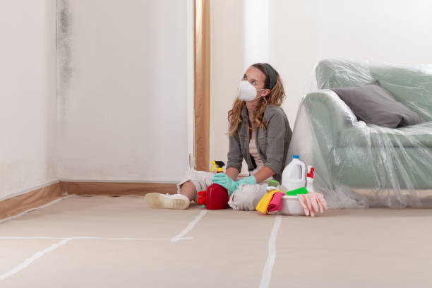 Reliable Mold Remediation contractor in Westport, NC by Cheap Mold Removal